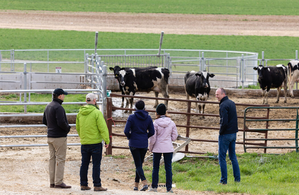 Spring Meadow Farm tour, PA